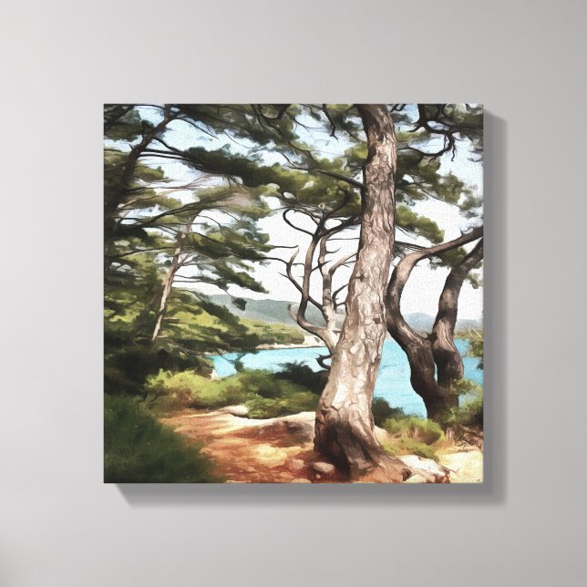 Pinus pinea Pine Tree Forest Painting  Canvas Print (Front)