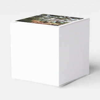 Pinus pinea Pine Tree Forest Painting Favour Box