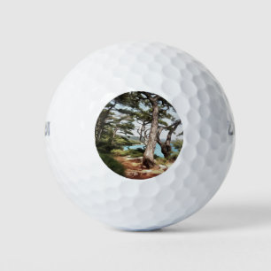 Pinus pinea Pine Tree Forest Painting Golf Balls