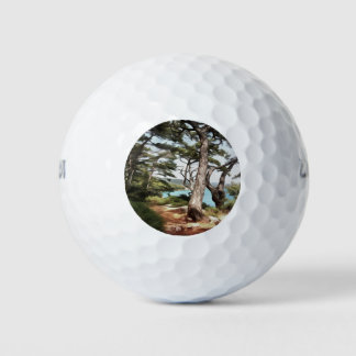 Pinus pinea Pine Tree Forest Painting Golf Balls