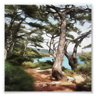 Pinus pinea Pine Tree Forest Painting Photo Print