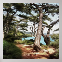 Pinus pinea Pine Tree Forest Painting 