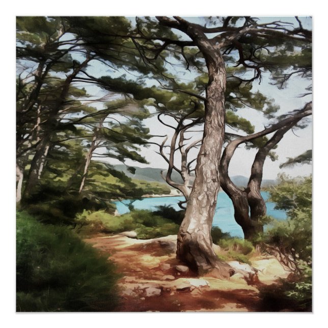 Pinus pinea Pine Tree Forest Painting  Poster (Front)