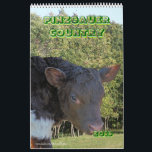 Pinzgauer 2013 Cattle Calendar- personalise Calendar<br><div class="desc">If you enjoy cattle or know someone that does, especially the beautiful Pinzgauer breed, this calendar is a perfect choice. Options include– calendar size, style and you may choose to add “text”/notes on any dates on the calendar. Go to my PINZGAUER CATTLE SECTION to see the largest collection of Pinzgauer...</div>