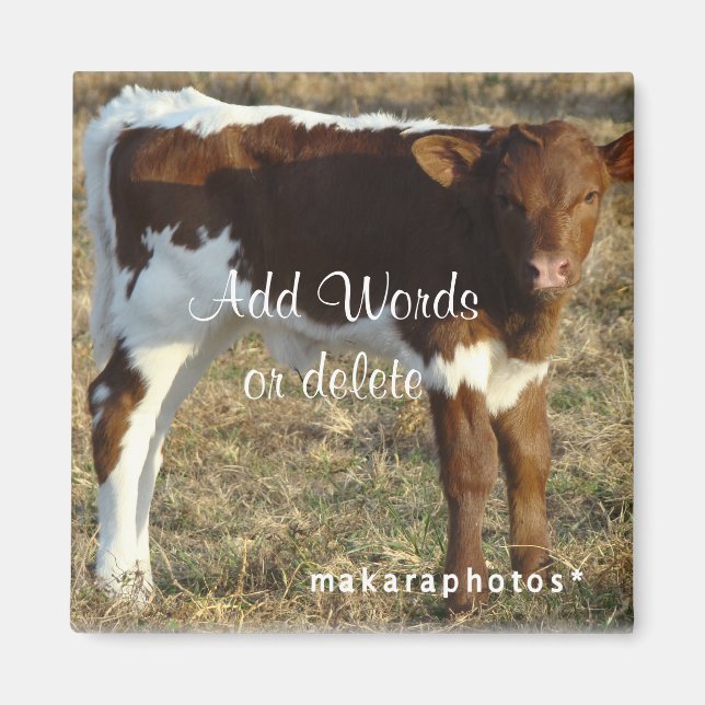 Pinzguar Calf Square Magnet -customise (Front)