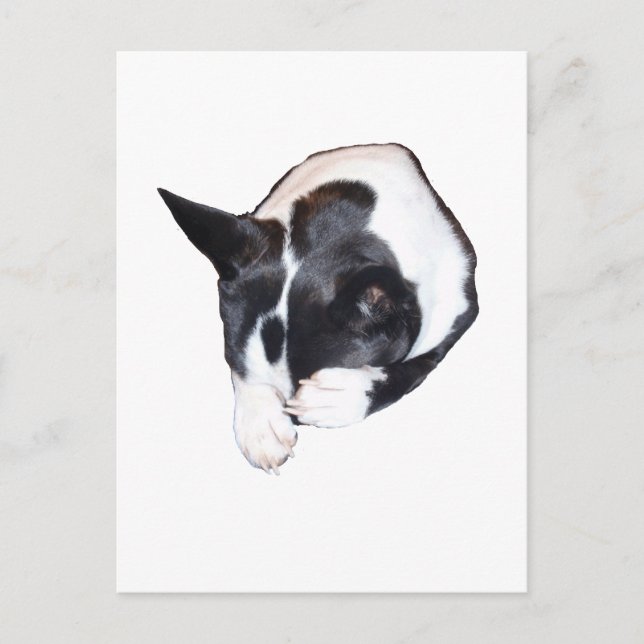 Piper - Sleeping Postcard (Front)