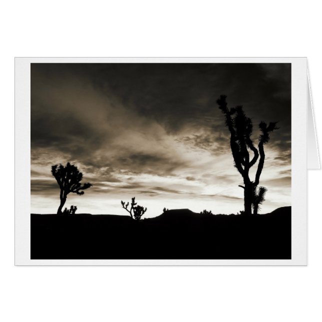 Pipes Canyon (Front Horizontal)