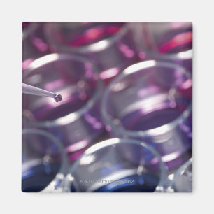 Pipette and petri dishes with fluids magnet