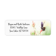 Pipevine Swallowtail butterfly in afternoon light