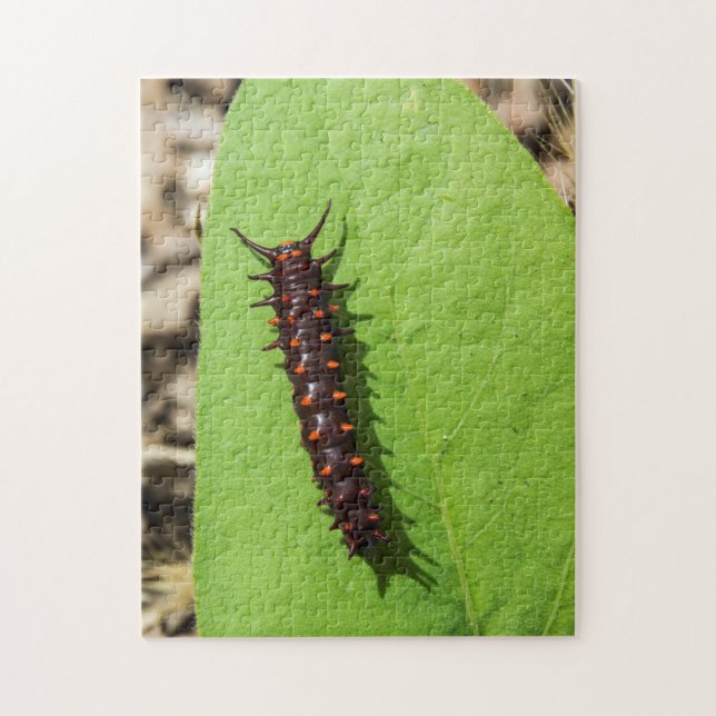 Pipevine Swallowtail Caterpillar on a Leaf Jigsaw Puzzle (Vertical)