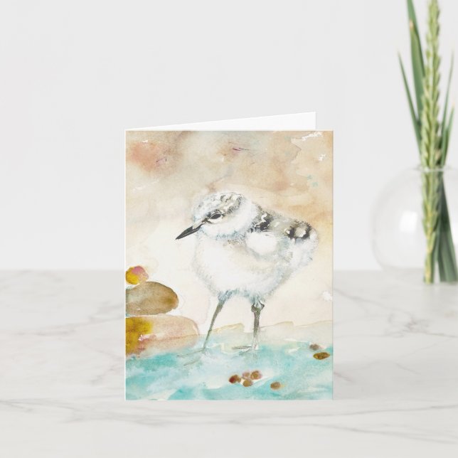 Piping Plover BLANK Greeting Card (Front)
