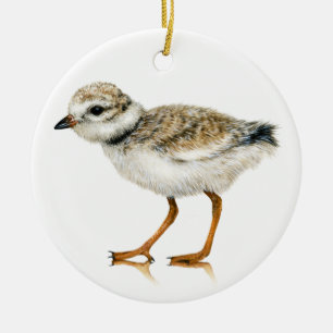 Piping Plover Chick Ornament