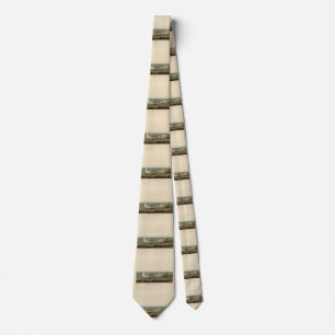 Piping Plover from Audubon's Birds of America Tie