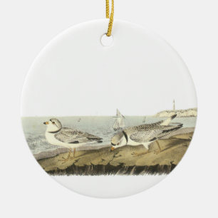 Piping Plover, John Audubon Ceramic Tree Decoration