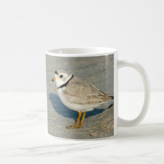Piping Plover Mug