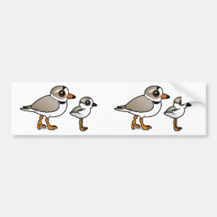 Piping Plover with chick Bumper Sticker