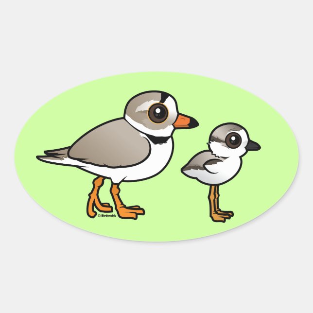 Piping Plover with chick Oval Sticker (Front)