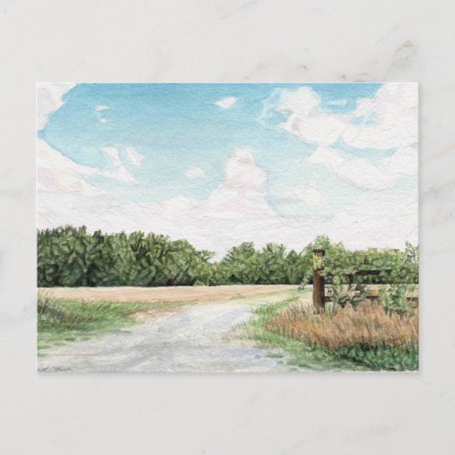 Piping Tree Ferry Road landscape Postcard (Front)