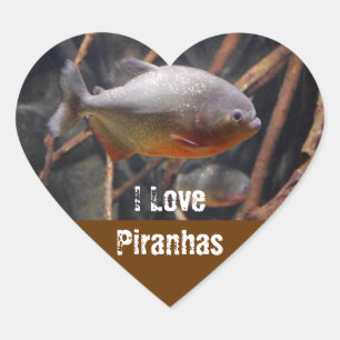 Piranha - Innocent Looking Brown Fish Heart Sticker