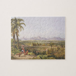 Pirara and Lake Amucu, the Site of El Dorado, from Jigsaw Puzzle