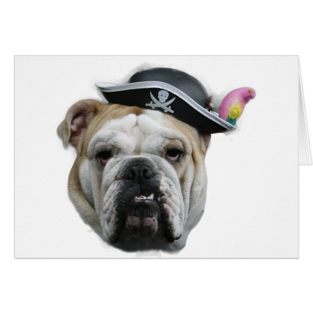 Pirate Bulldog (Front Horizontal)