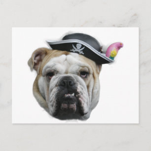 Pirate Bulldog Postcard
