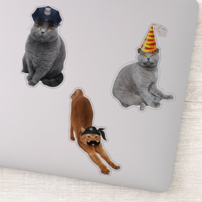 Pirate Cat (Detail)
