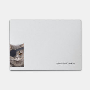 Pirate Cat Post-it Notes