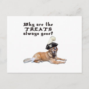 Pirate Dog Treats Postcard