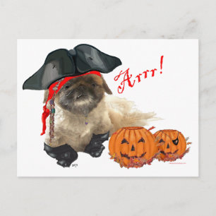 Pirate Doggie Postcard
