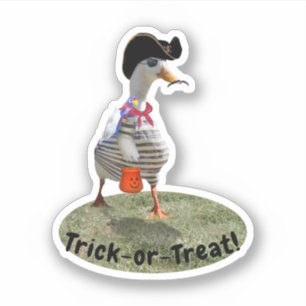 Pirate Duck Halloween