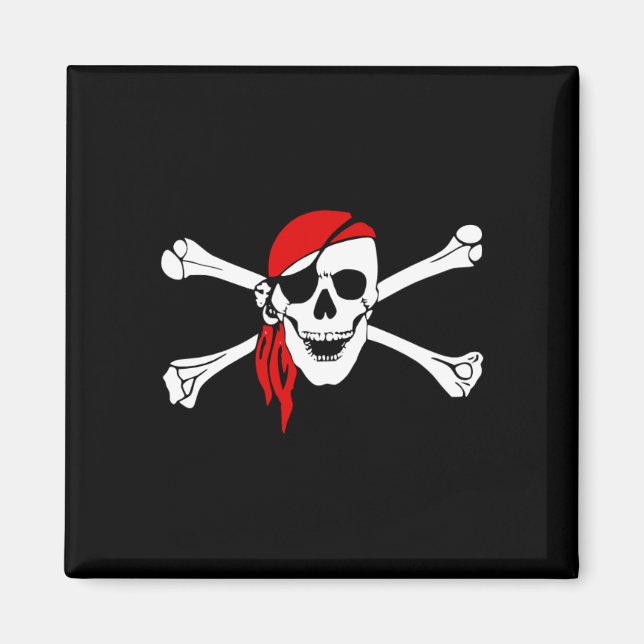 Pirate_Magnet2(S) Magnet (Front)