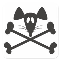 Pirate Rodent
