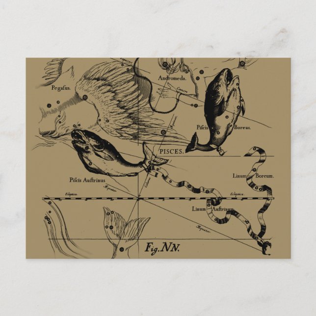 Pisces Constellation Hevelius 1690 Decor Postcard (Front)