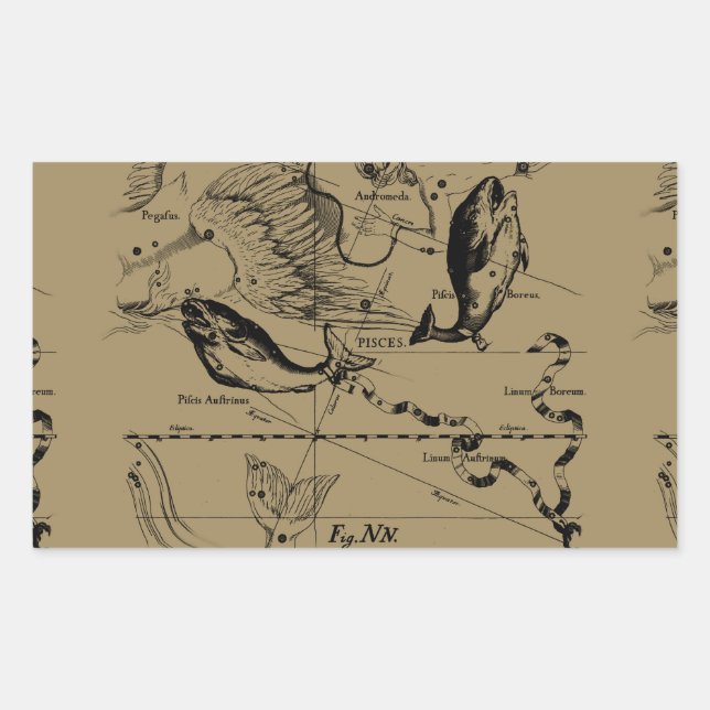 Pisces Constellation Hevelius 1690 Decor Rectangular Sticker (Front)