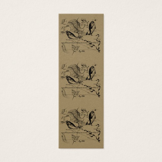 Pisces Constellation Hevelius 1690 Feb19 -March 20 (Front)