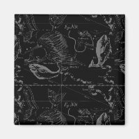 Pisces Constellation Hevelius 1690 on Black