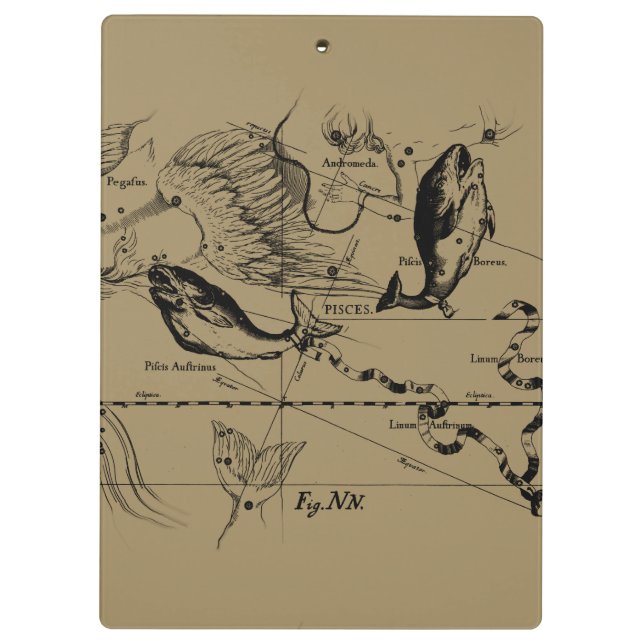 Pisces Constellation Hevelius circa 1690 Clipboard (Back)
