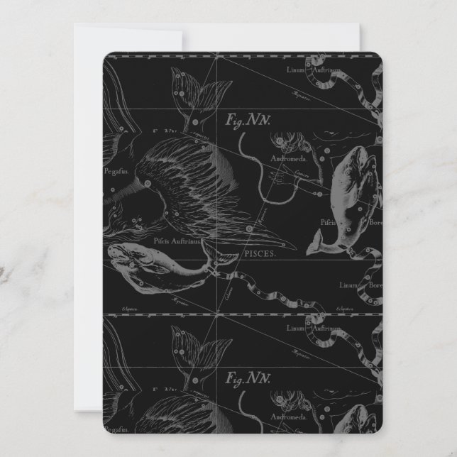 Pisces Constellation Map by Hevelius 1690 (Front)