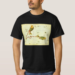 Pisces Fish, Vintage Constellation Urania's Mirror T-Shirt