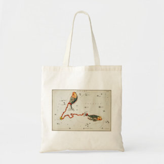 Pisces tote bag