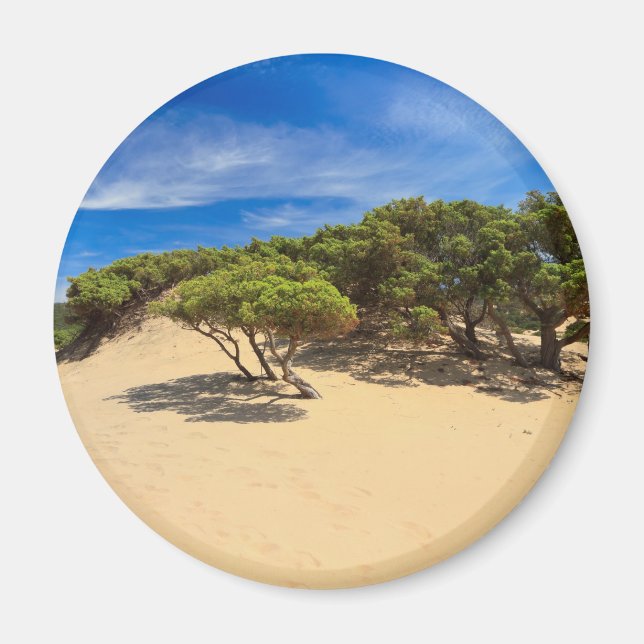 Piscinas dune - Sardinia, Italy Magnet (Front)