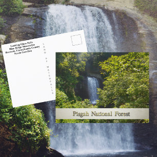 Pisgah National Forest Blue Ridge Mountains Postcard