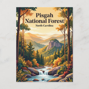 Pisgah National Forest North Carolina Postcard
