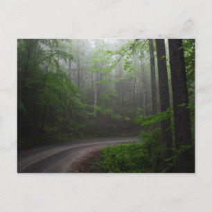 Pisgah National Forest, North Carolina postcard