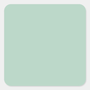 Pistachio Green B2D3C2 Colour, Option to Add Image Square Sticker
