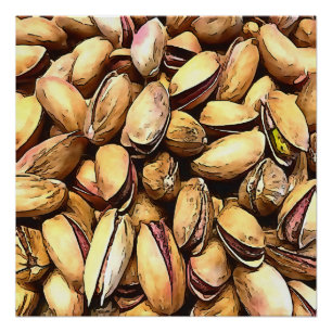 Pistachio Nuts Black Outline Art Poster