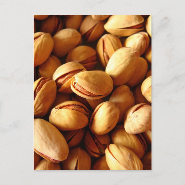 Pistachios Postcard (Front)