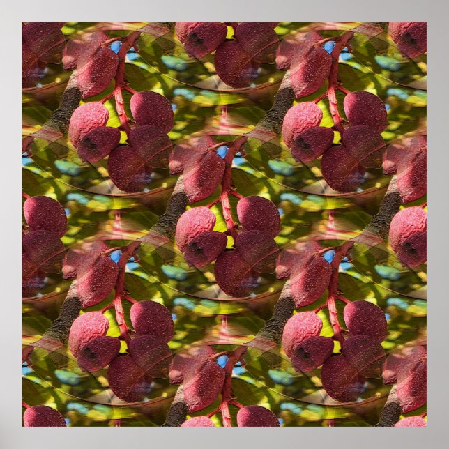 Pistachios... Poster (Front)