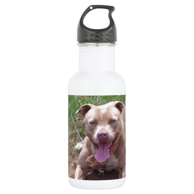 Pit Bull 532 Ml Water Bottle (Front)
